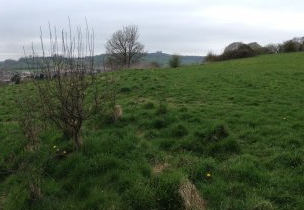 Photo of access land at Chelscombe Farm