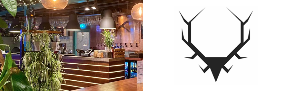 Skogen Discovery Card Offer March 2026