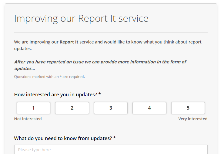 An example of our report it survey