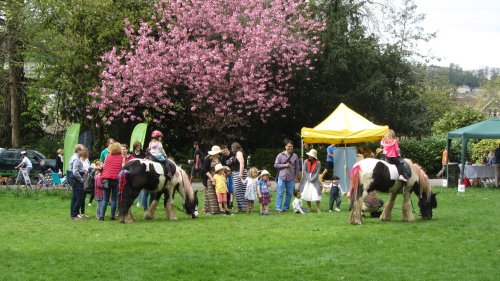 Photo of community day 2017 with ponies
