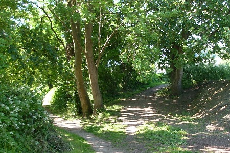 Picture of Walcot path