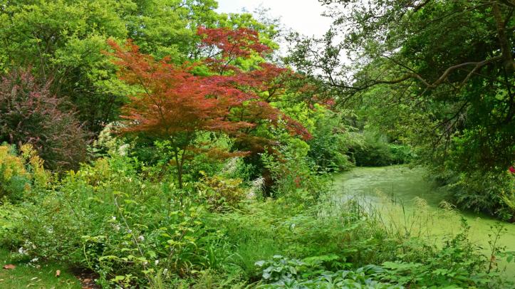 Royal Victoria Park - Botanical Gardens
