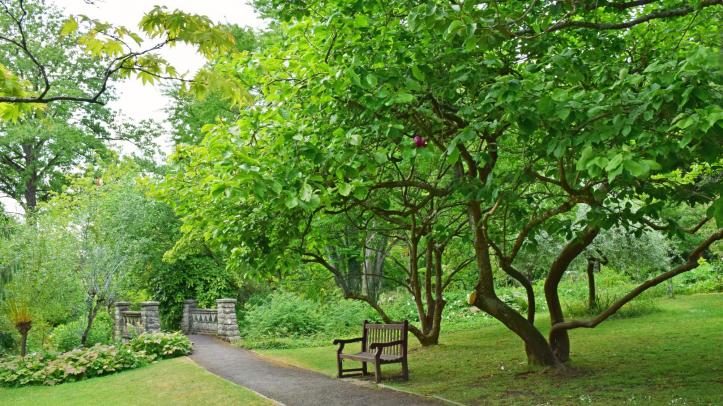 Royal Victoria Park - Botanical Gardens
