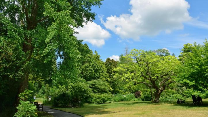 Royal Victoria Park - Botanical Gardens