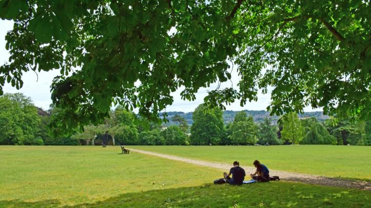 Royal Victoria Park - Middle Common