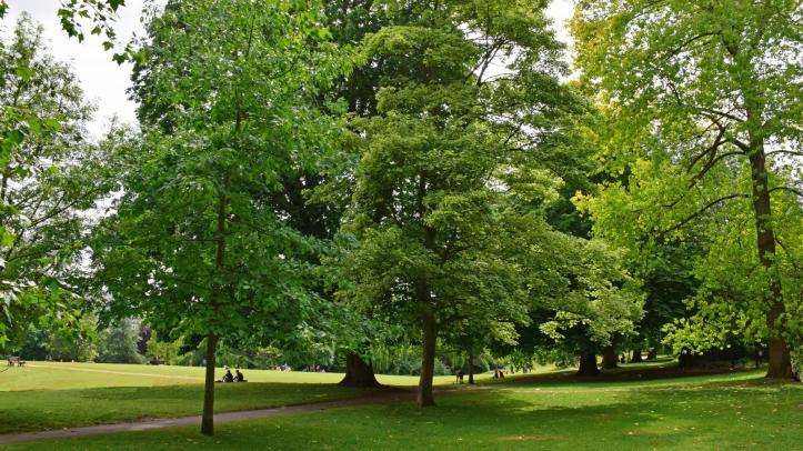 Royal Victoria Park - Middle Common