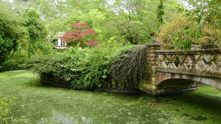 Royal Victoria Park - Botanical Gardens