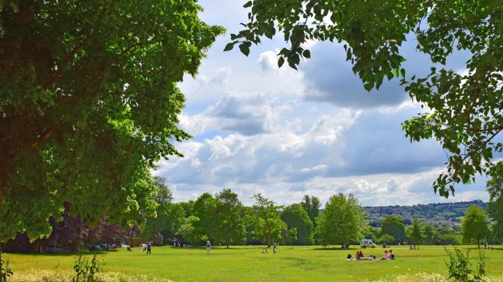 Royal Victoria Park - Middle Common