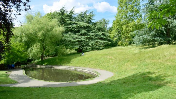 Royal Victoria Park - Middle Common
