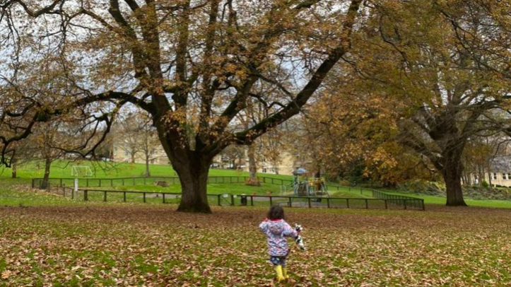 Picture of a tree and a child in Moorlands Park