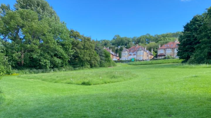 Picture of green space in Moorlands Park