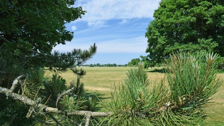 Lansdown South Playing Fields