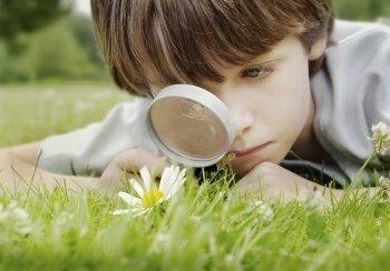 child with magnifying glass and daisy