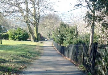 Path at Alexandra Park