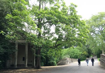 view of the Temple of Minerva in the middle of the park with stone columns a central pathway and the Catalpa tree standing beside it