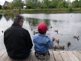 man and boy sitting feeding ducks