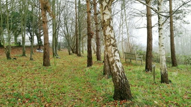 The Coppice at Haycombe