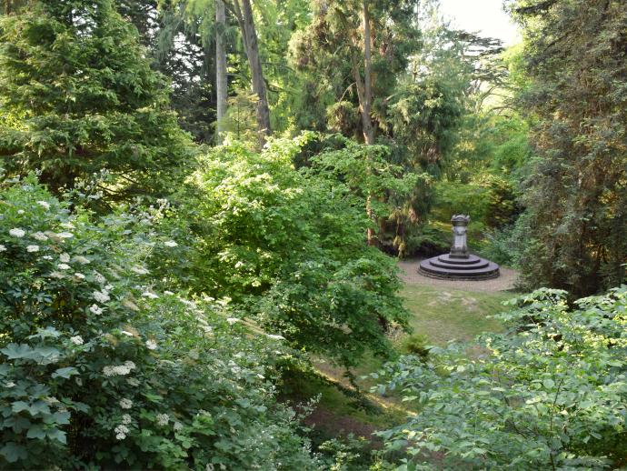 Royal Victoria Park - The Dell