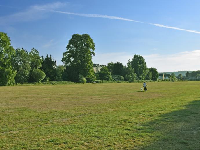 Kensington Meadows