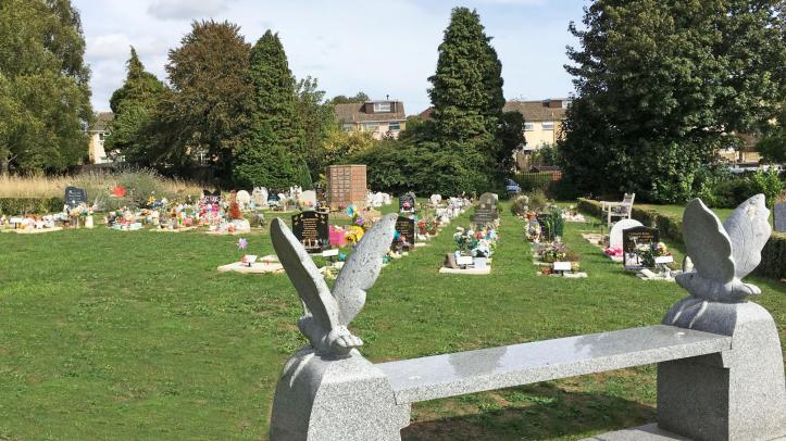 The butterfly section of Haycombe