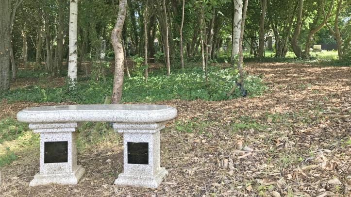 Curved bench in The Glade at Haycombe