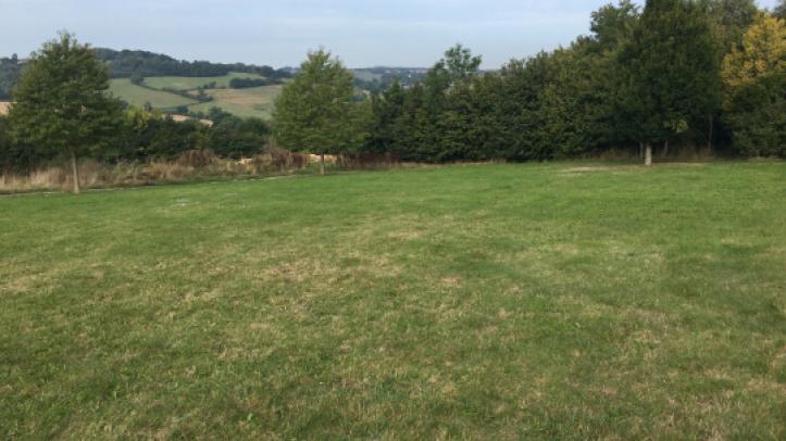 Views from the Queen Elizabeth II Memorial Woodland