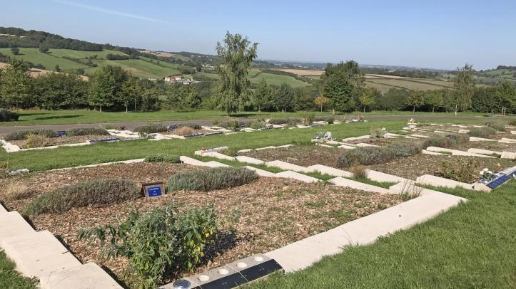 New shrubbery at Haycombe