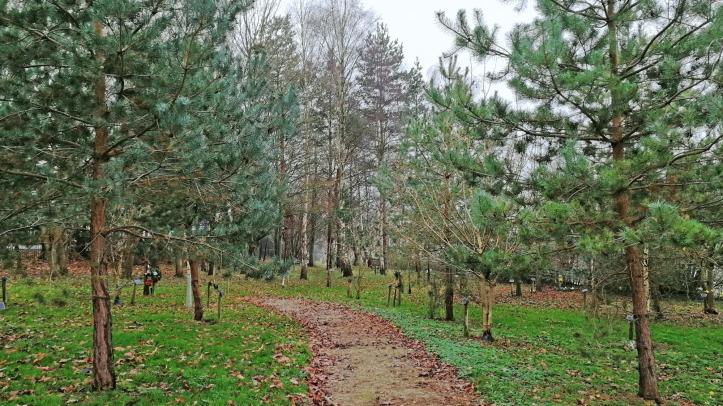 The Coppice at Haycombe