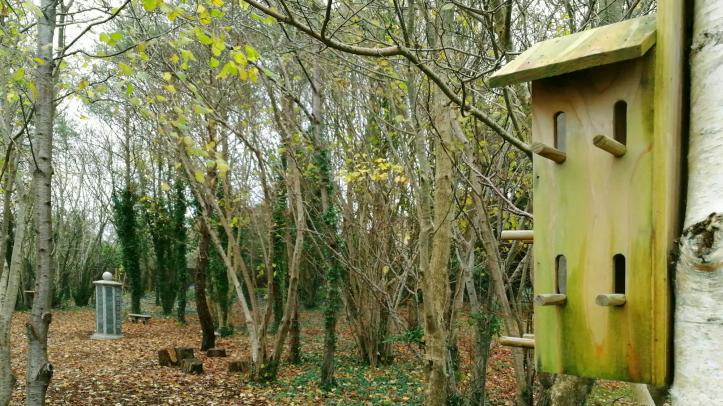 The Glade at Haycombe