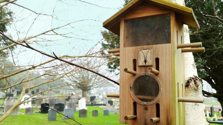 A box for birds and bugs at Haycombe