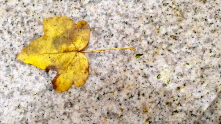 Close up of the surface of our granite benches