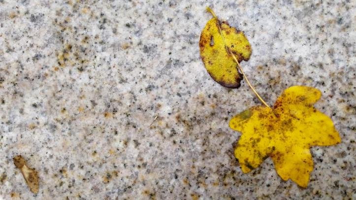 close up of granite used for curved bench