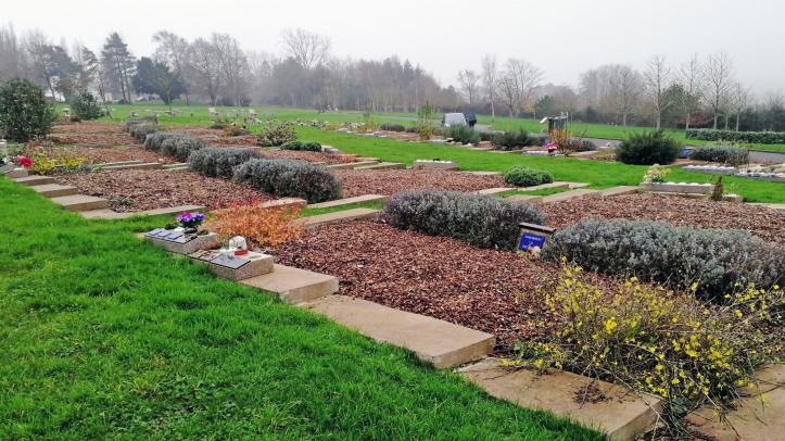 New shrubbery site at Haycombe