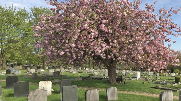 TraditioTraditional graves at Haycombeal graves at Haycombe