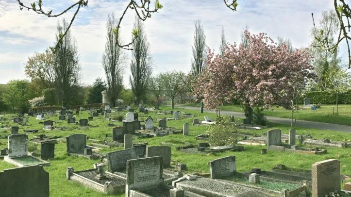 Traditional graves at Haycombe