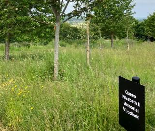 The Queen Elizabeth II Memorial Woodland is set aside for green burials
