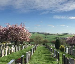 lawn graves at Haycombe