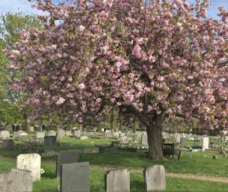 TraditioTraditional graves at Haycombeal graves at Haycombe