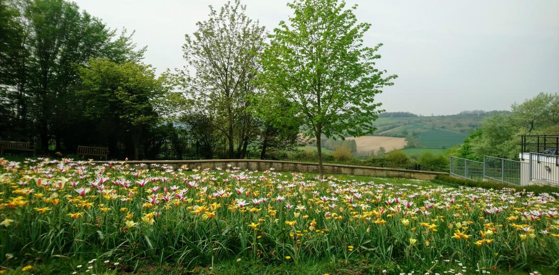 Crematorium Approach