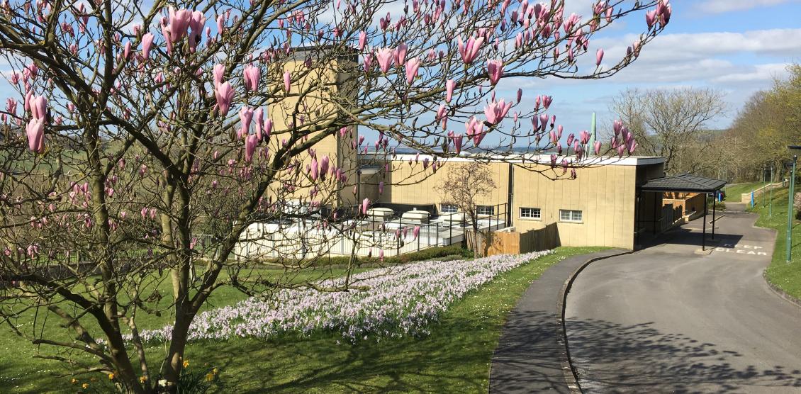 Haycombe Cemetery grounds