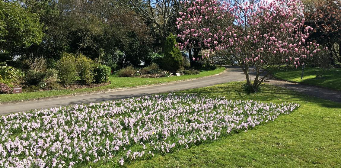 Haycombe Cemetery grounds