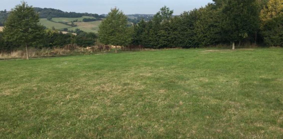 Green burial: Queen Elizabeth II Memorial Woodland