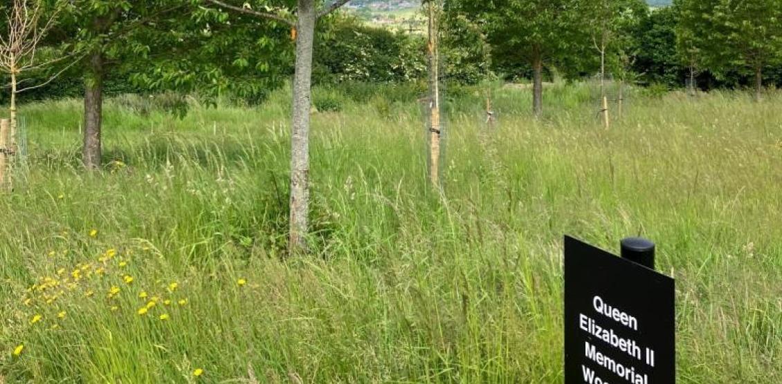 The Queen Elizabeth II Memorial Woodland